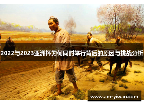 2022与2023亚洲杯为何同时举行背后的原因与挑战分析