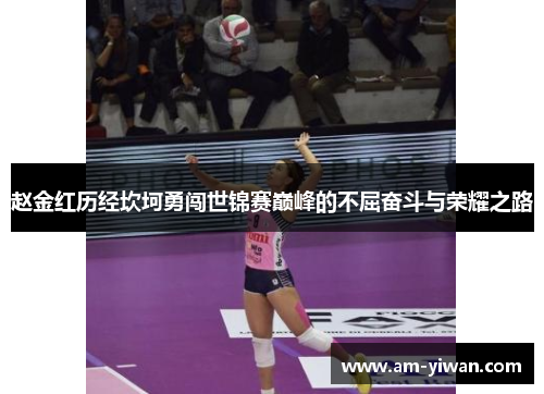 赵金红历经坎坷勇闯世锦赛巅峰的不屈奋斗与荣耀之路