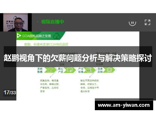 赵鹏视角下的欠薪问题分析与解决策略探讨
