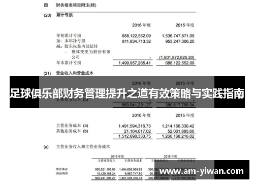 足球俱乐部财务管理提升之道有效策略与实践指南 足球俱乐部财务管理提升之道有效策略与实践指南