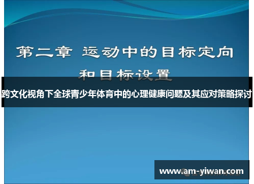 跨文化视角下全球青少年体育中的心理健康问题及其应对策略探讨