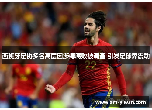 西班牙足协多名高层因涉嫌腐败被调查 引发足球界震动 西班牙足协多名高层因涉嫌腐败被调查 引发足球界震动